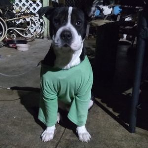 Meet your Posher, Paul